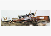 Blaser B95 mit Swarovski Habicht für den großen Jäger .30-06Spring;12/70