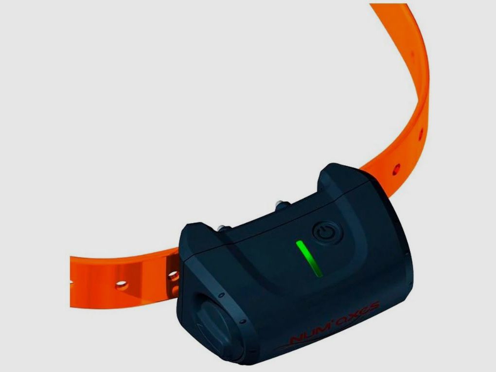 Zusätzliches Halsband Canicom 5 ORANGE