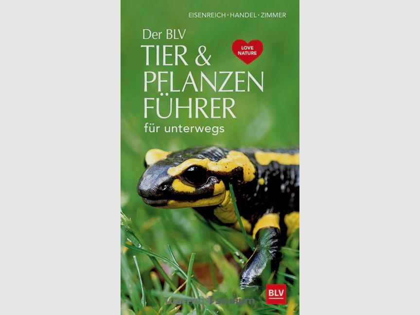 Gräfe & Unzer Eisenreich- BLV - Zwierzęta i Rośliny Ute E. Zimmer