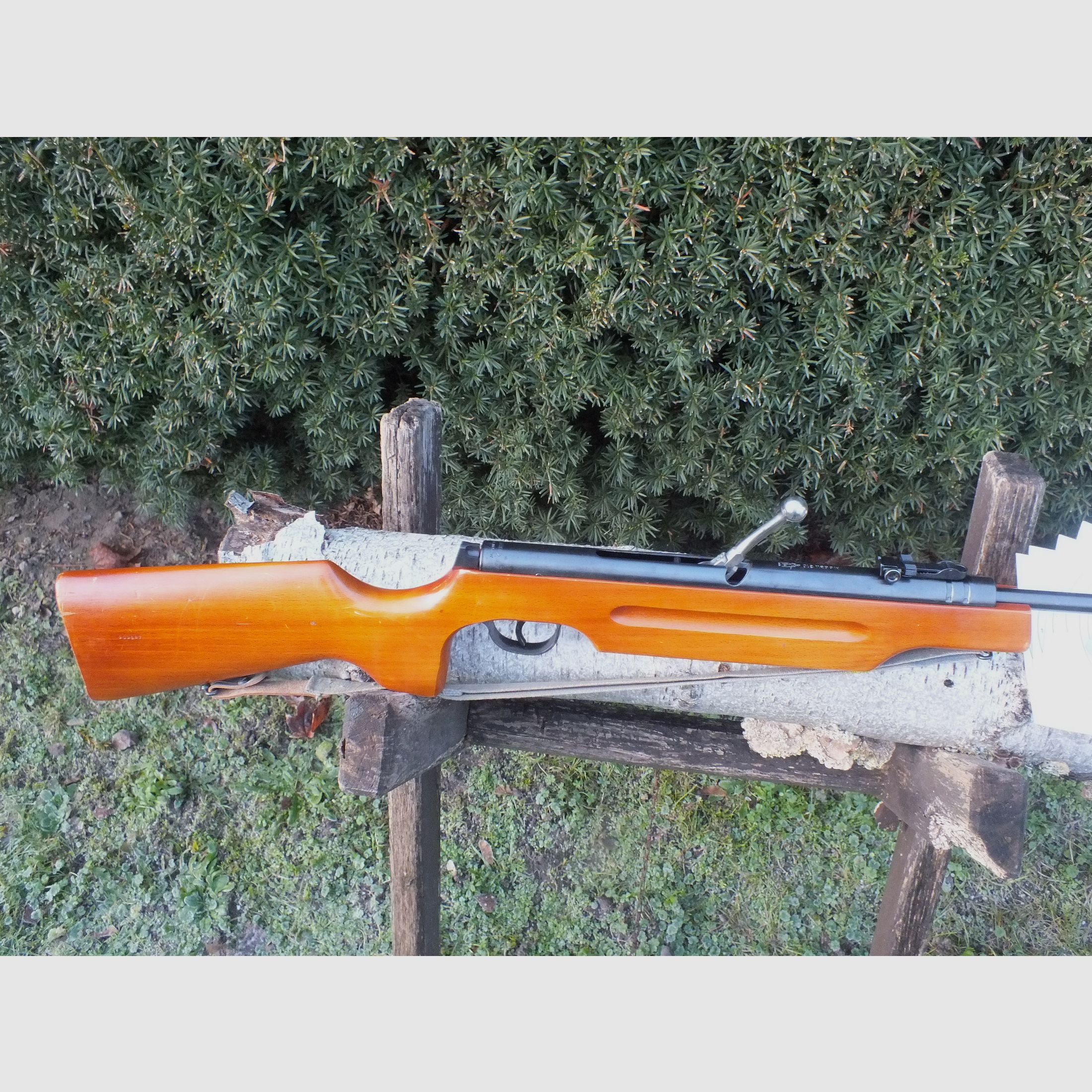 Fucile ad aria compressa Haenel 310-4 con calcio sportivo