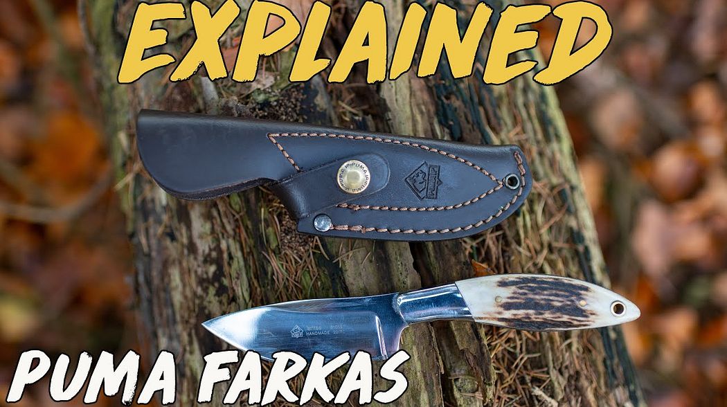 Explained - Puma Farkas