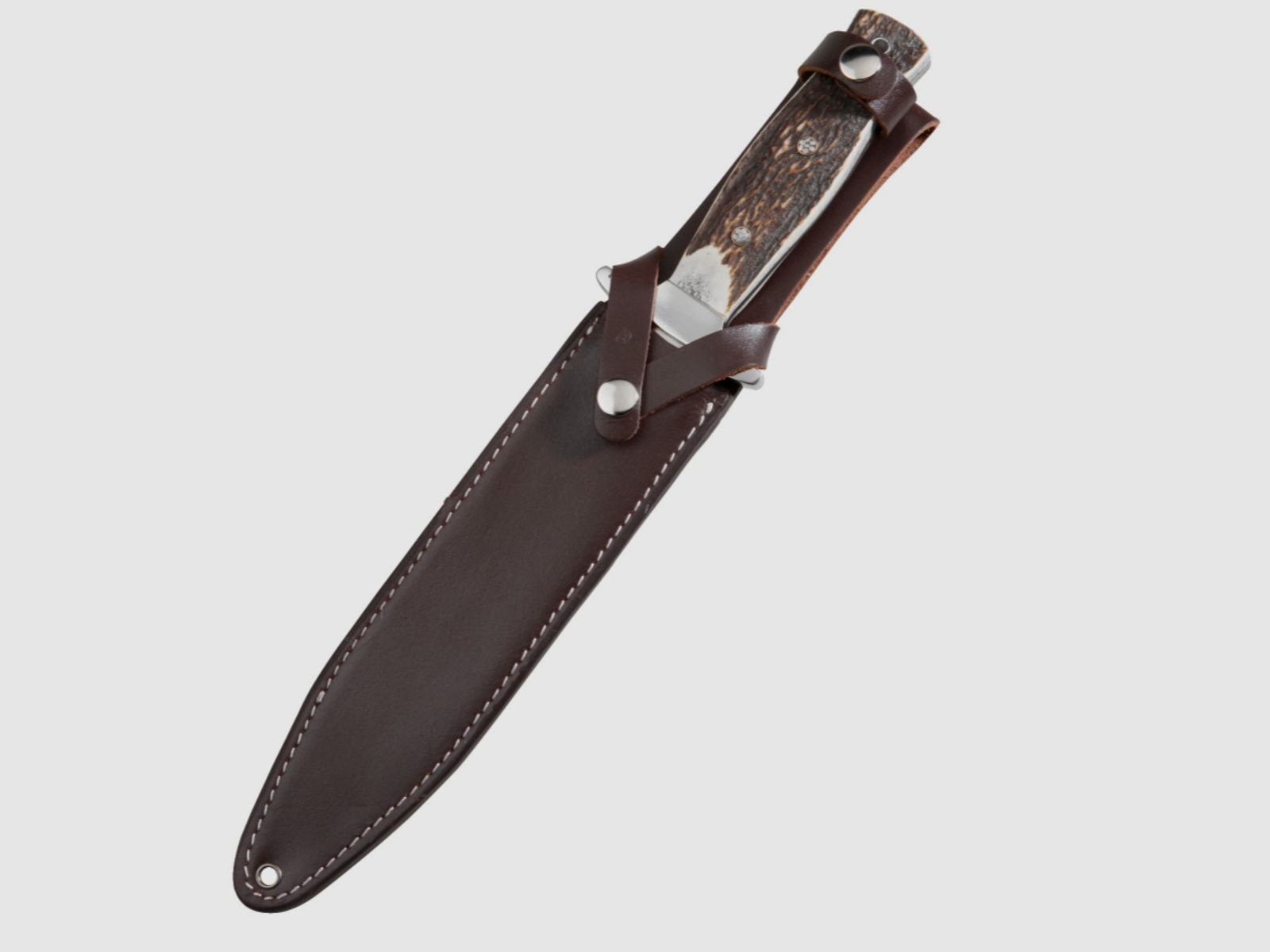 Nóż i pasek 2007497 Hatz-Watz Boar Hunter z paskiem