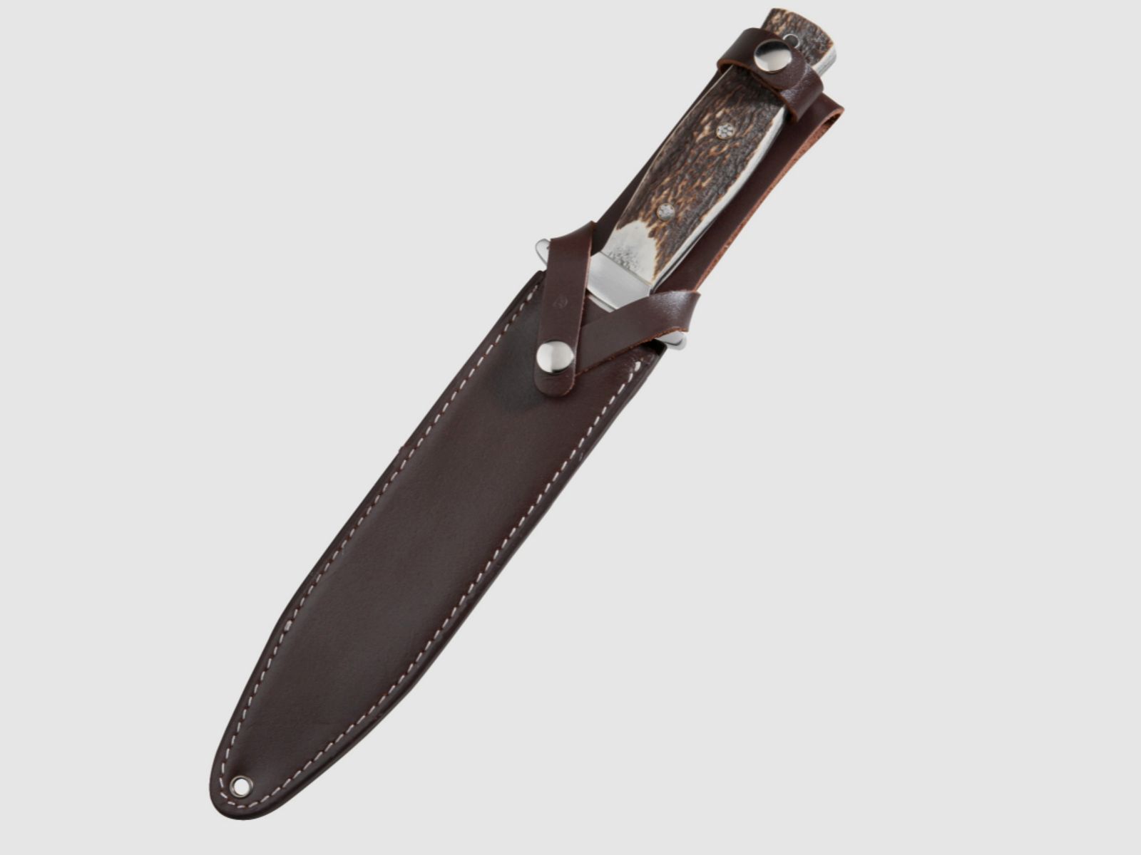 Messer & Gürtel 2007497 Hatz-Watz Boar Hunter mit Gürtel