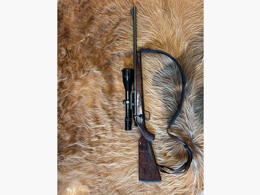 Blaser R 93