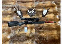 Benelli Lupo 