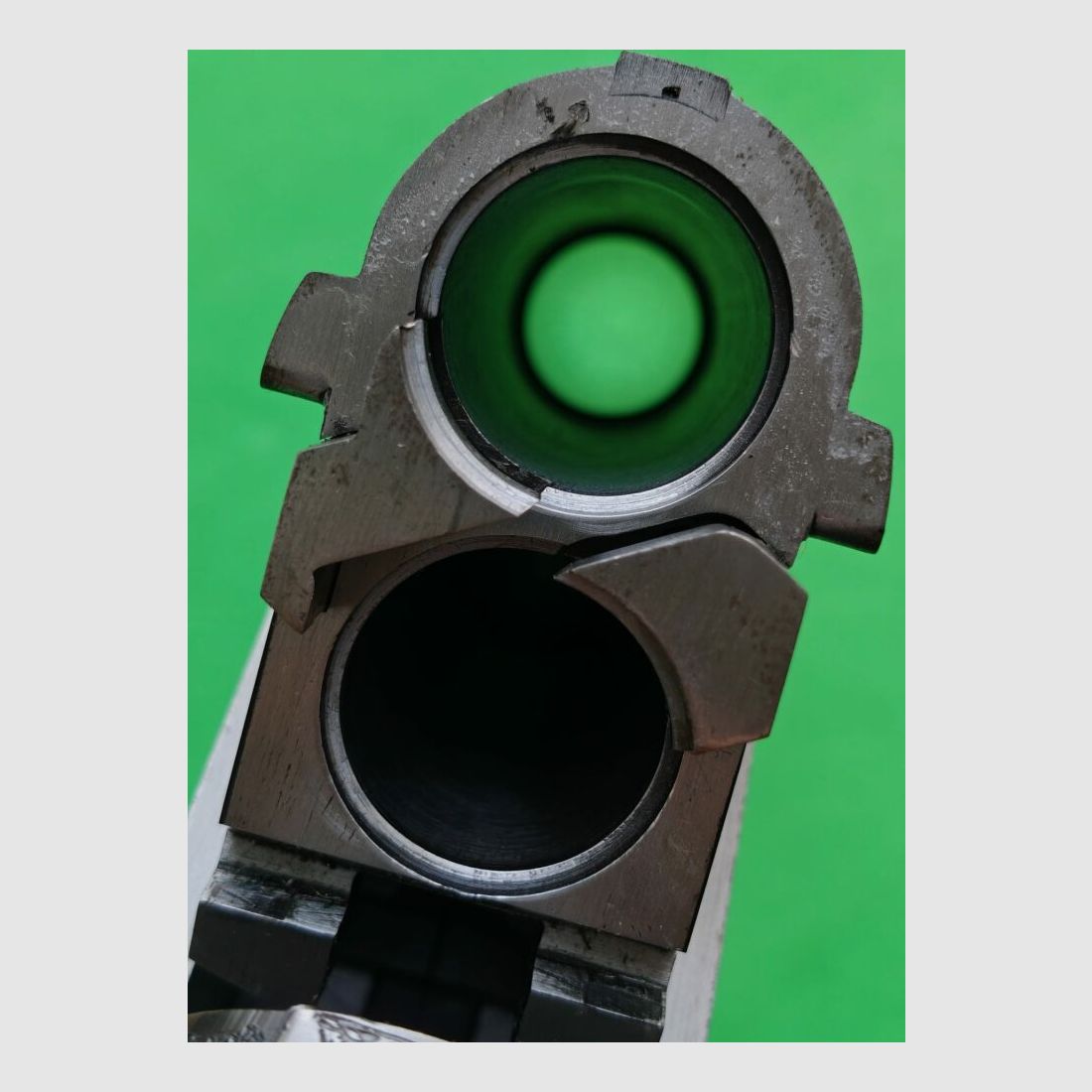 Rizzini