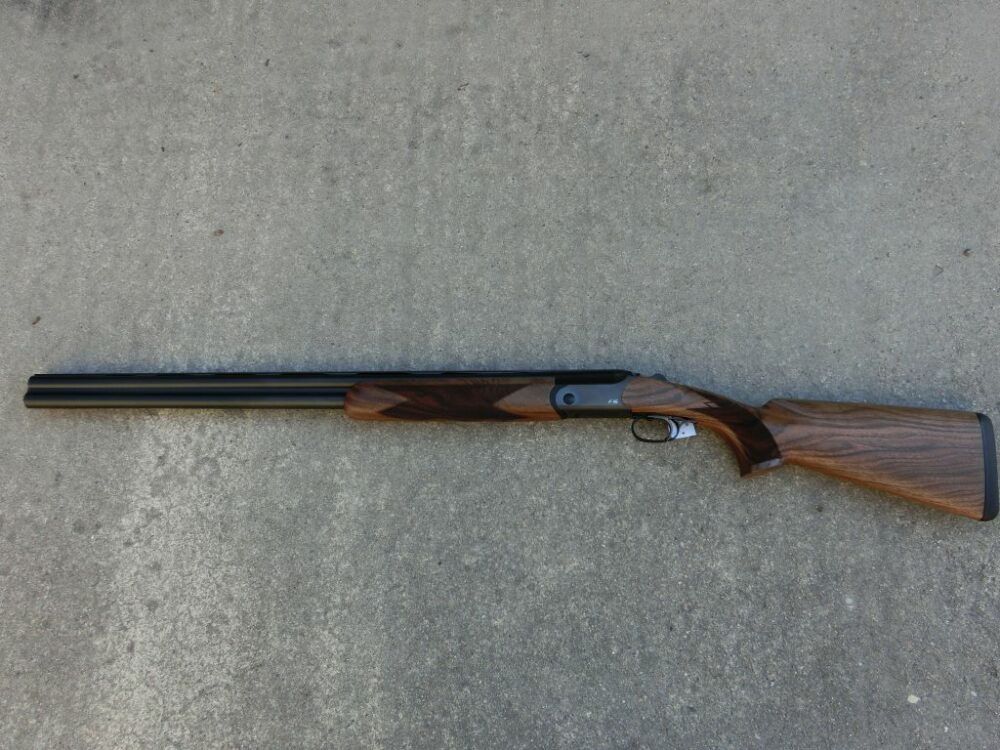 Blaser F16 Game
