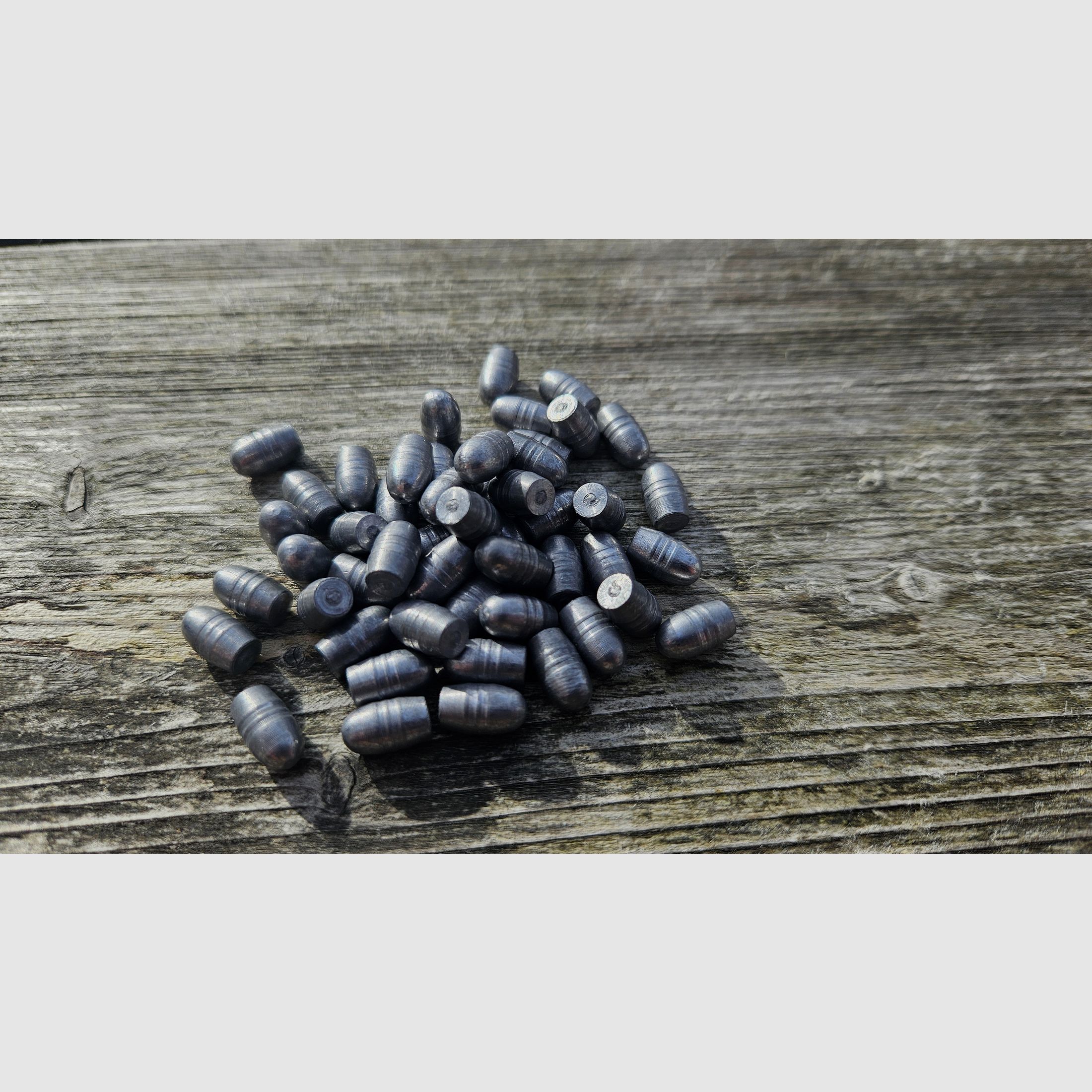 .22 Slugs für Huben GK1 / K1 - Für Kleinere Streukreise - 2,02g