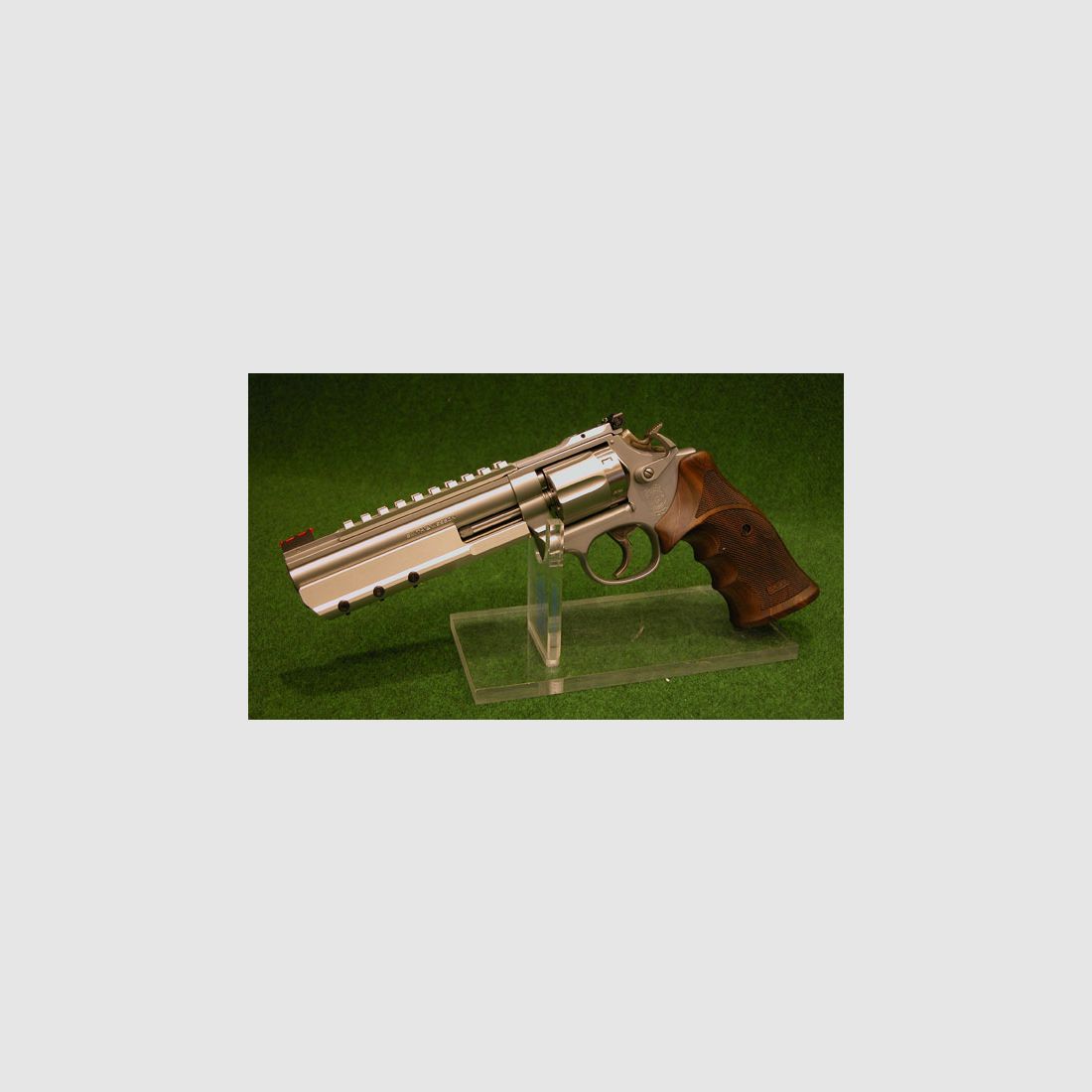 @ Smith & Wesson 617 -1 AANGEPASTE DOEL PRO-PLUS .22 lfb