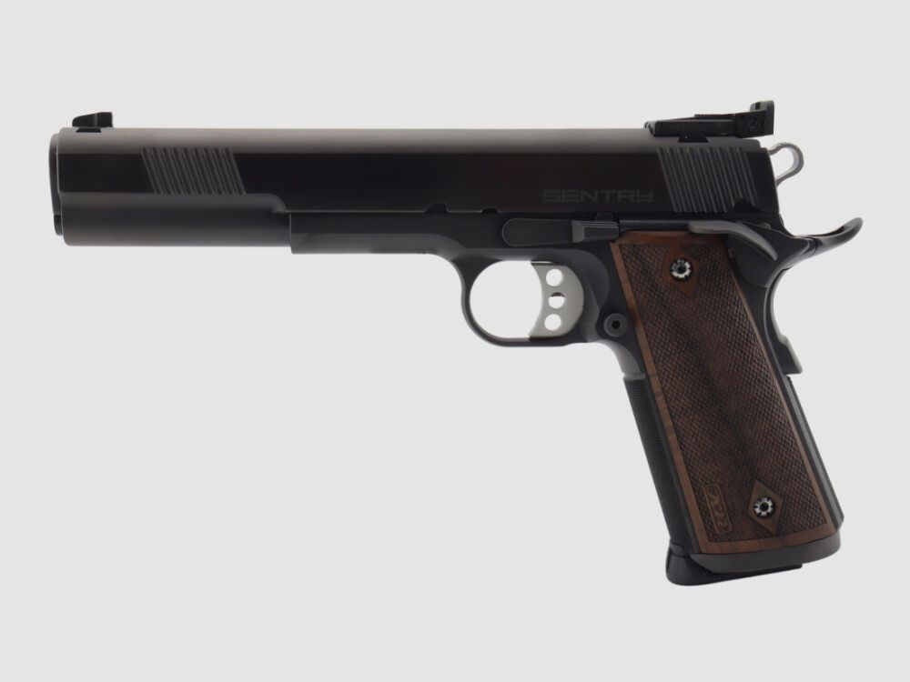 STP Sentry 6.0