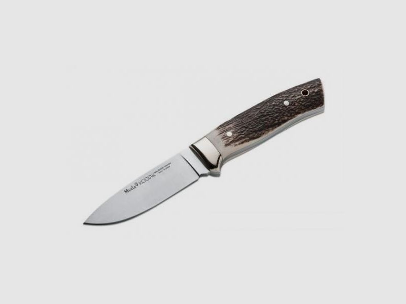 Muela Kodiak Stag
