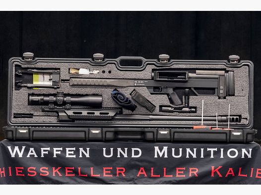 Steyr HS .50 M1