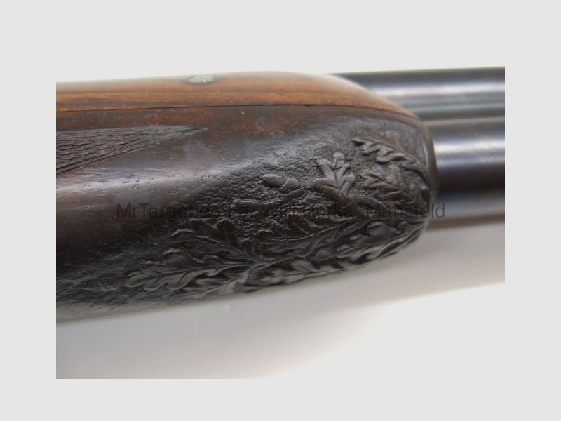 Bühag / Merkel (Suhl - G. Retz) 303E / 313 * edle Jagdkombi m. ZEISS Varipoint M 2,5-10x50