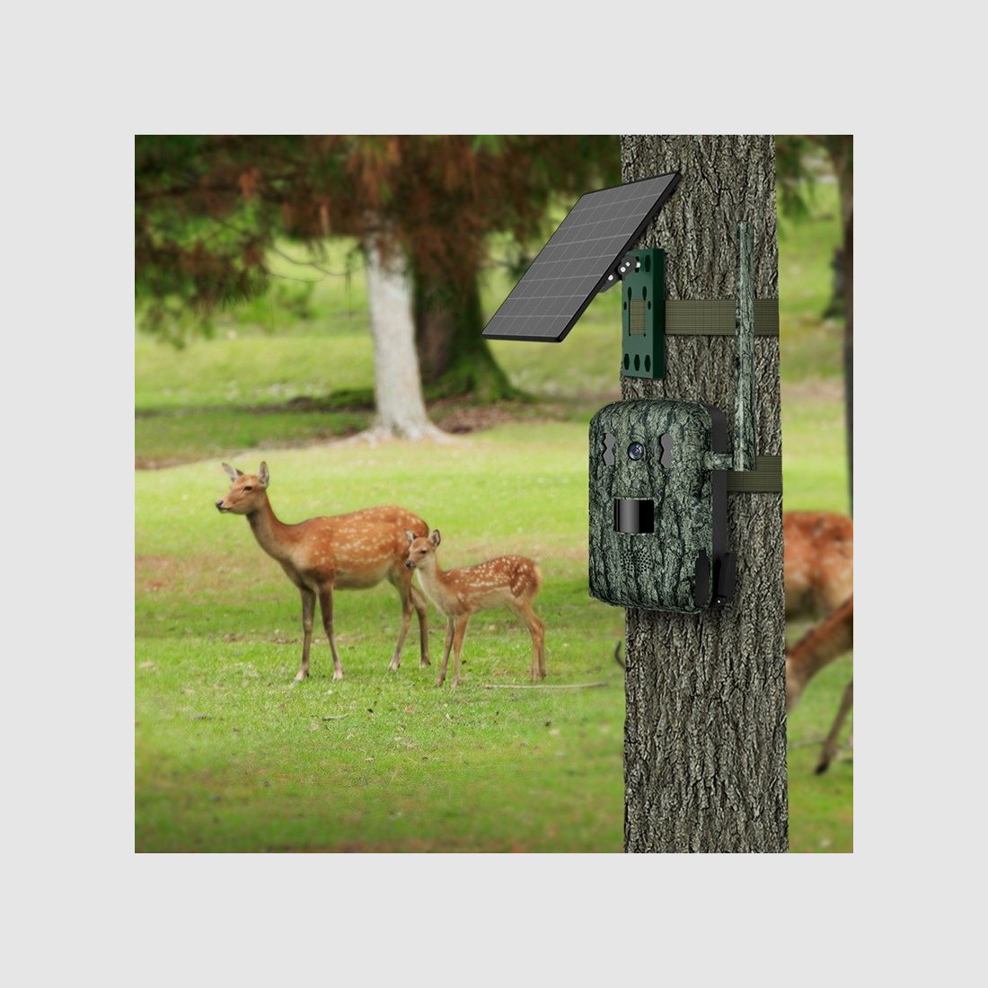 WildCast S8 Full HD LIVE trail camera, image 8 of 8