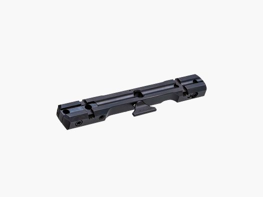 Dentler rail de base VARIO