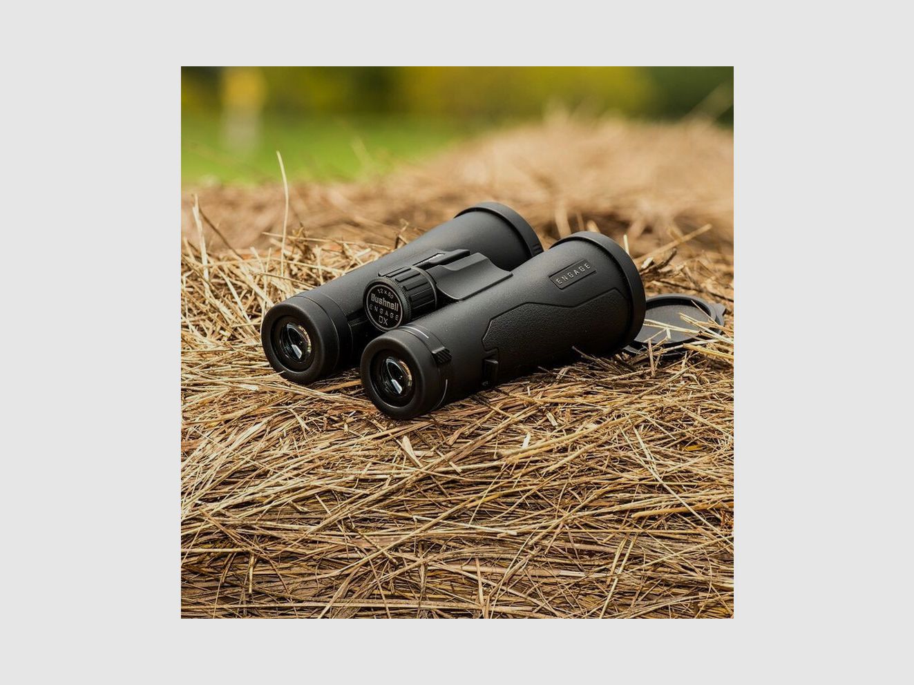 Bushnell Engage EDX 12x50 Fernglas, Bild 7 von 7
