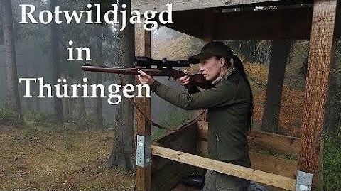 Jagd auf Rotwild in Thüringen