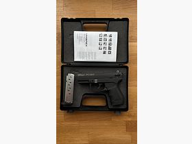 Walther pk380 ssw 