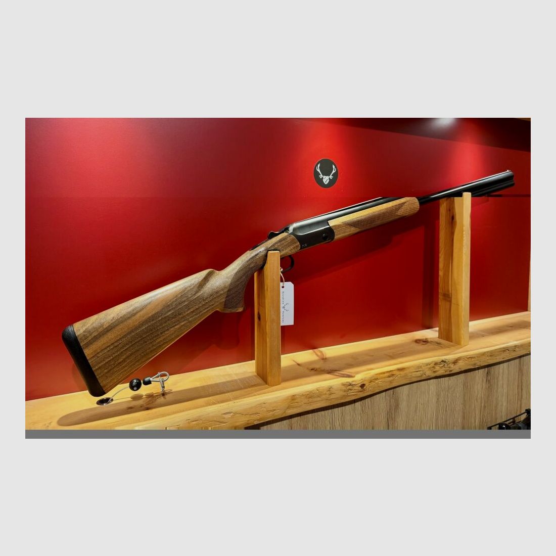 Blaser F16 Game