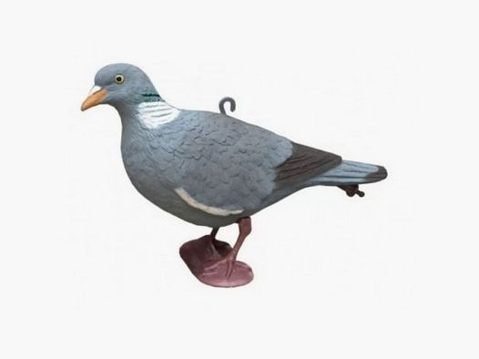 Decoy voor op de grond zittende duiven
