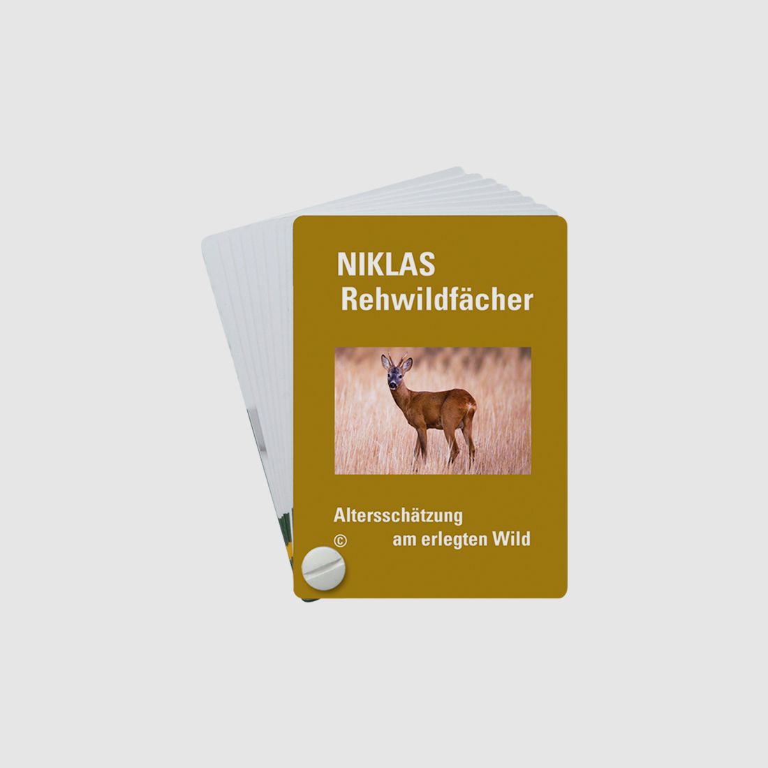 NIKLAS Altersschätzfächer Rehwild