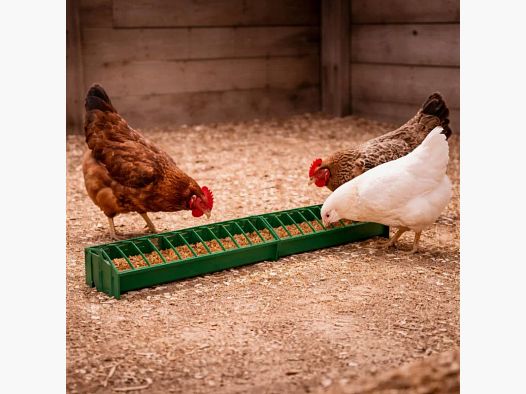 Lineare Futterstation für Geflügel aus Kunststoff 100 cm