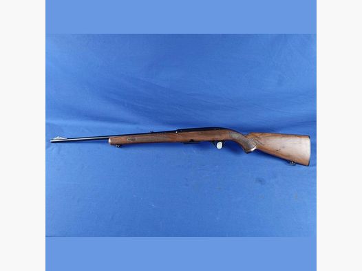 Winchester Mod.100 Kal. 243Win.