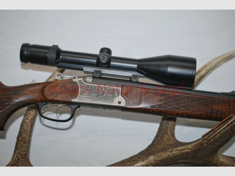Blaser B95