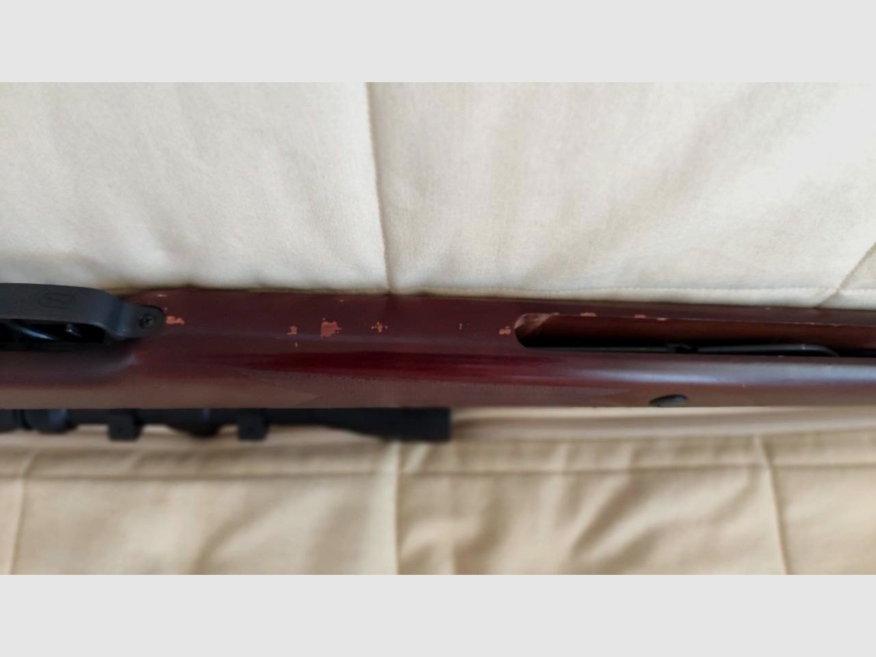 Hämmerli Hunter Force 900 mit Umarex 3-9x40 Zielfernrohr