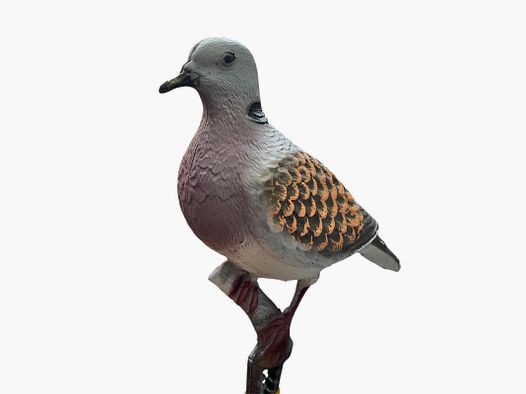 African Dove Stamp with Velvety Effect and Pliers