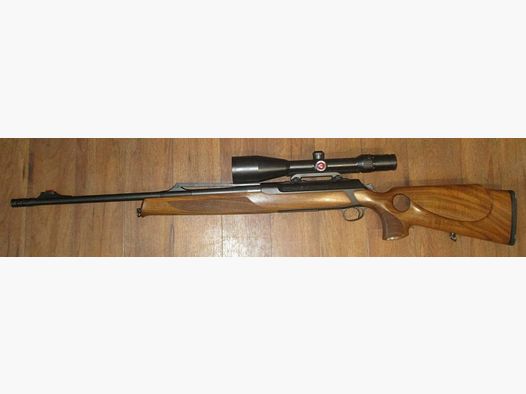 Sauer 303 GTI
