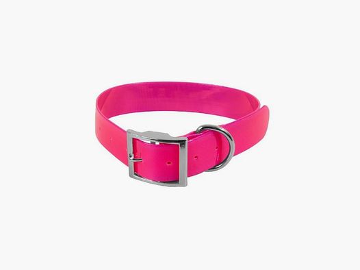 HB Dog Biothane Biogold Halsband