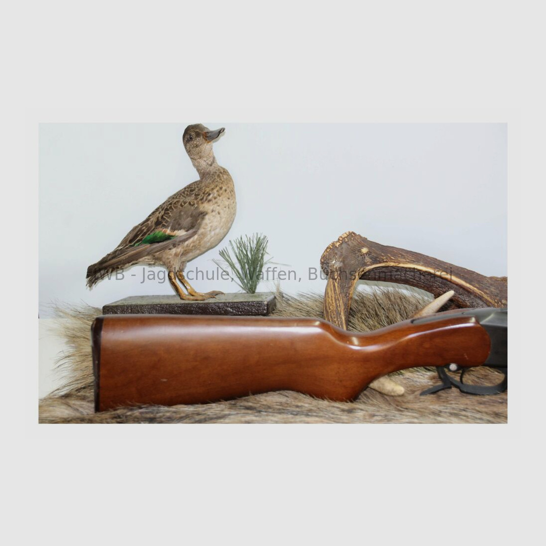 Fusil à un coup Baikal 18-EM-M 12/76