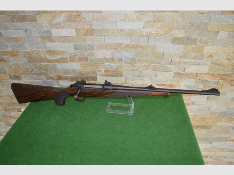 Sauer S 101 Artemis *