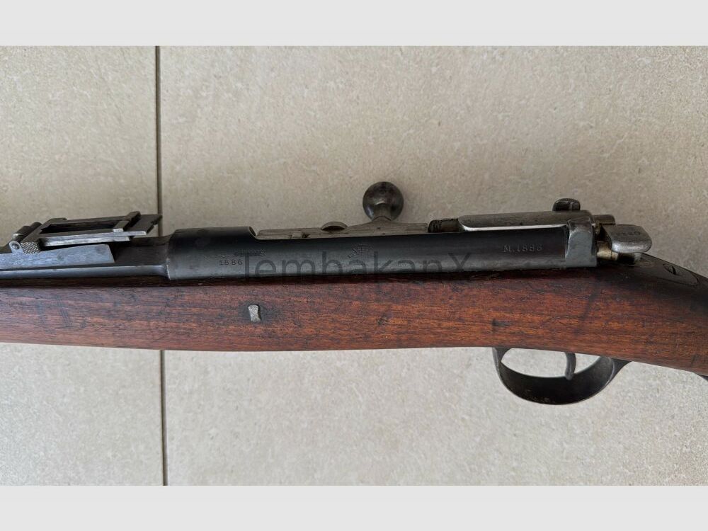 OE.W.F.G. Steyr M1886 8mmRothSteyr