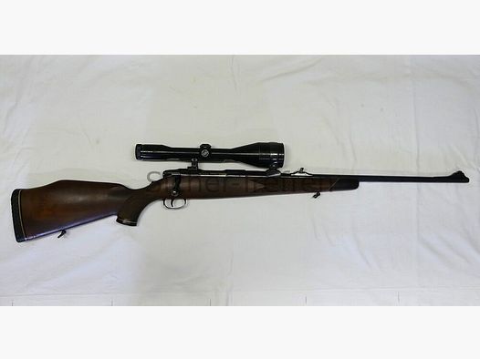Sauer 80