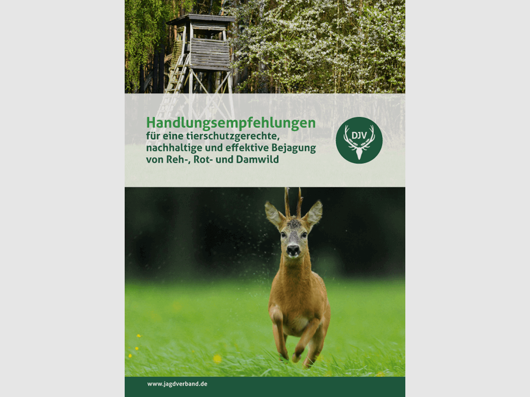 Broschüre "Handlungsempfehlungen Bejagung von Reh-, Rot- und Damwild"