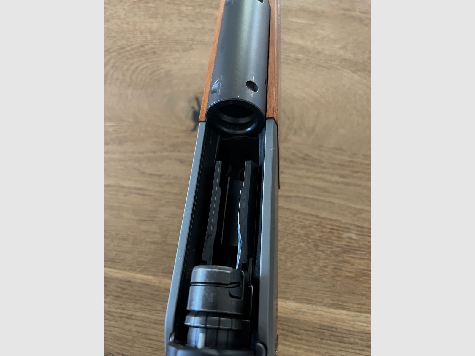 Blaser R8 Holz 308 - Sahnestück
