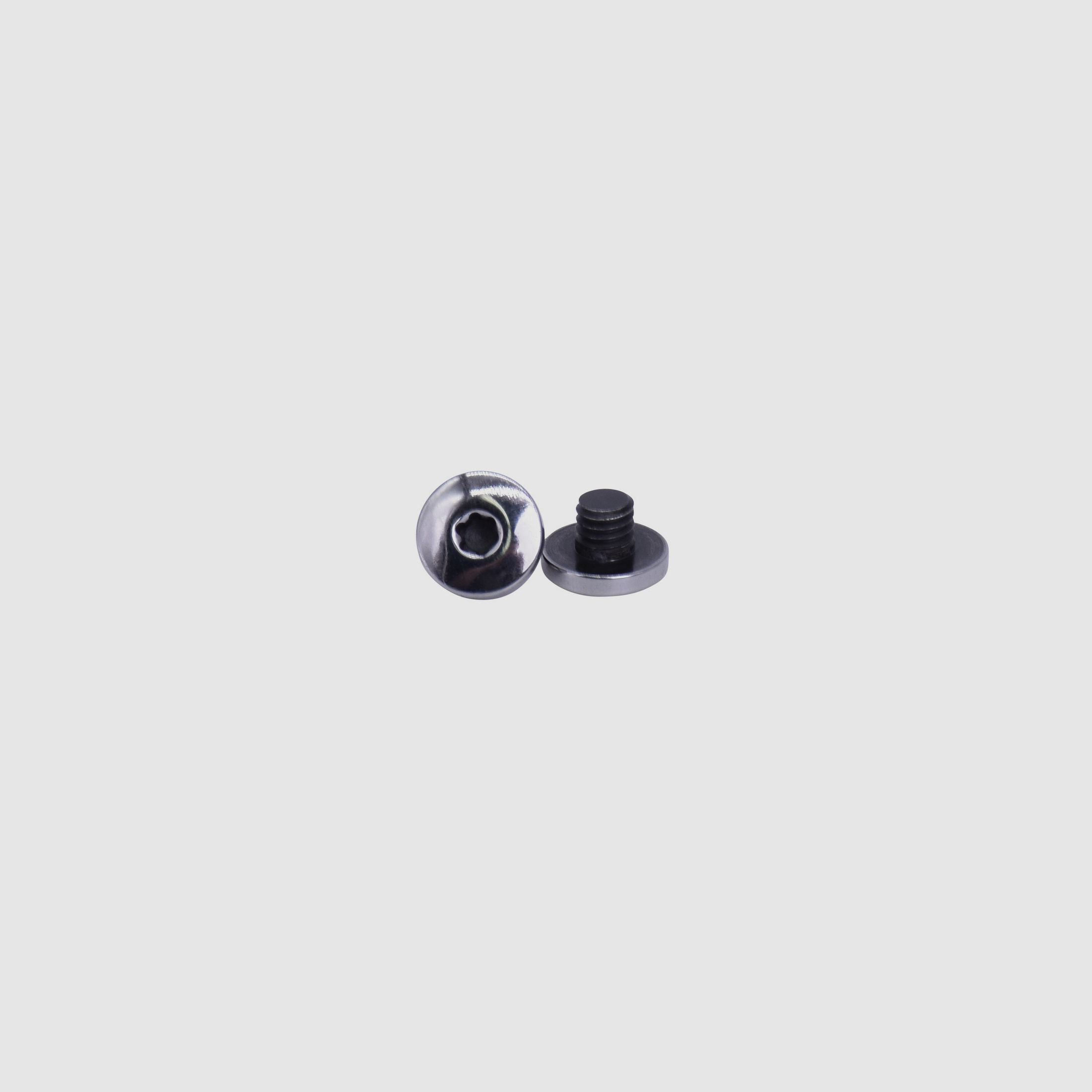 SIG SAUER P226 X-Series I grip panel screw Torx polished