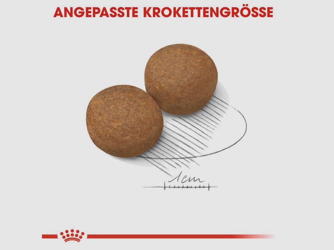 ROYAL CANIN Ältere Große Hunde Trockenfutter Maxi Adult 5+