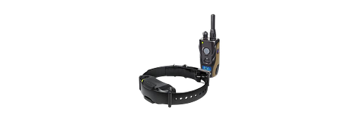 Dogtra ARC 1200