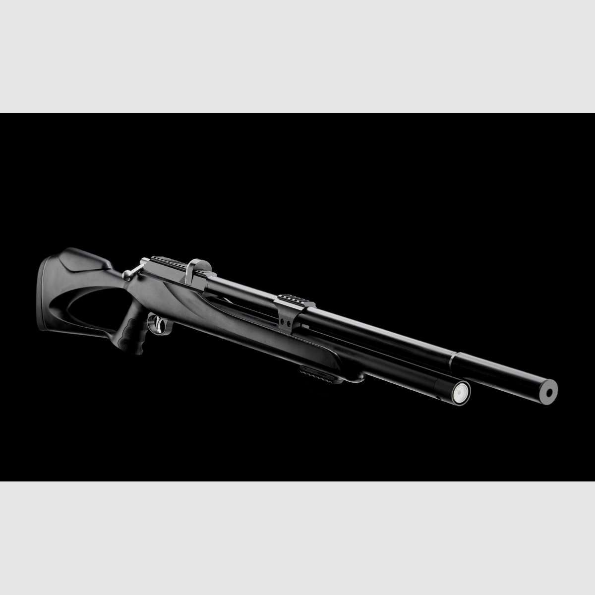 CARABINE M25 PCP C5.5 38J, image 8 sur 10
