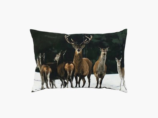 LivingActive Kissen Hirsch Herde