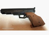 luftdruck pistole gamo compact