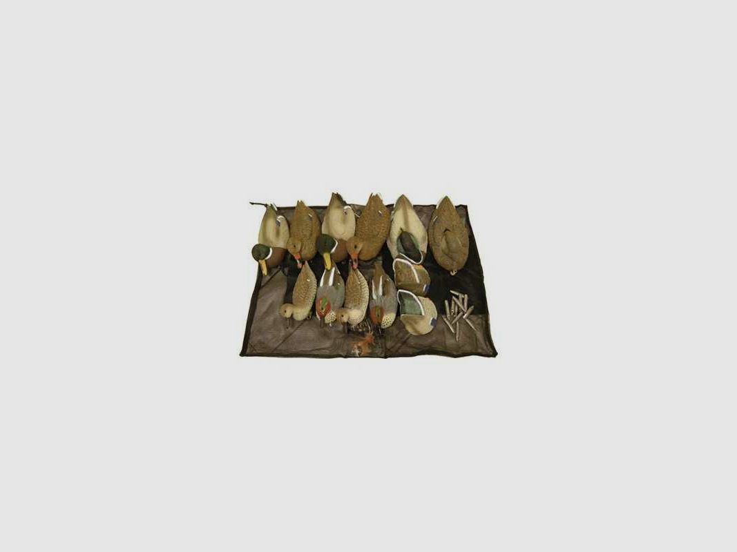 KIT Anatidi con borsa, immagine 1 di 2