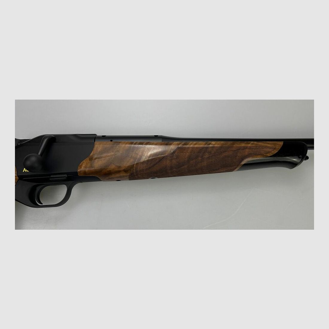 BLASER R8 Success