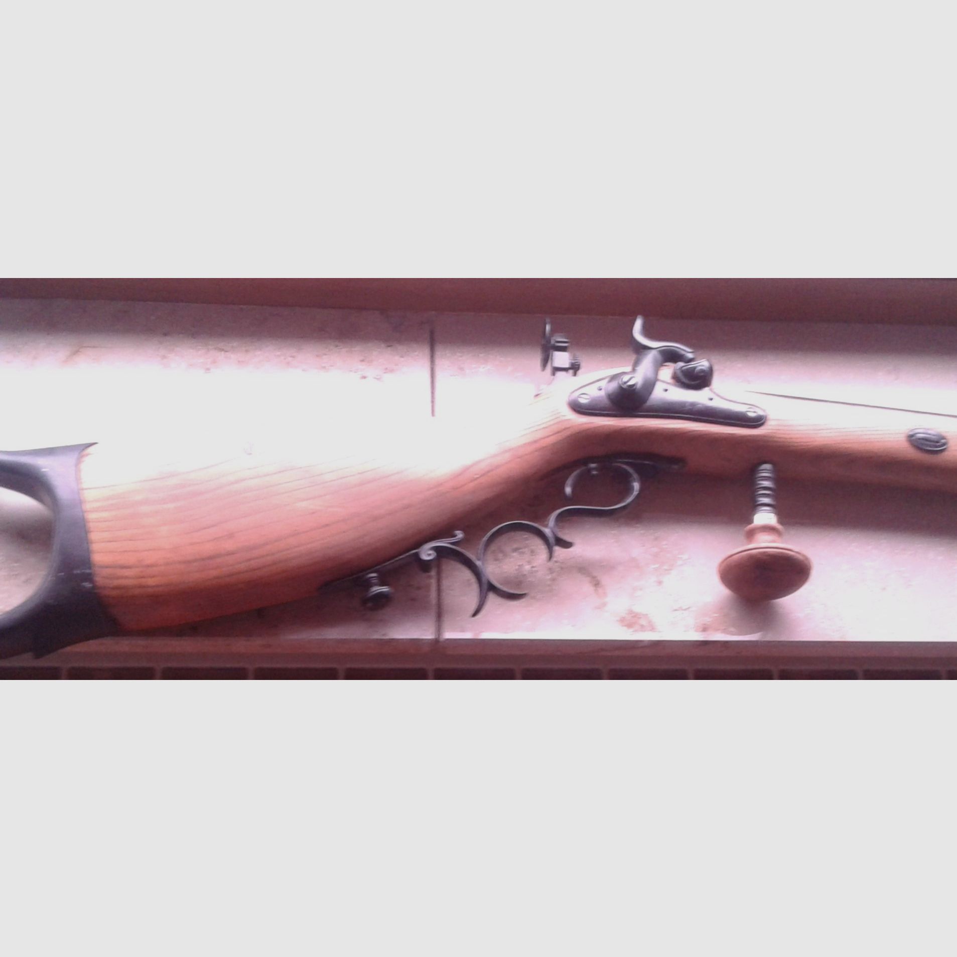 Décoration arme avec 2 supports muraux tête de cerf