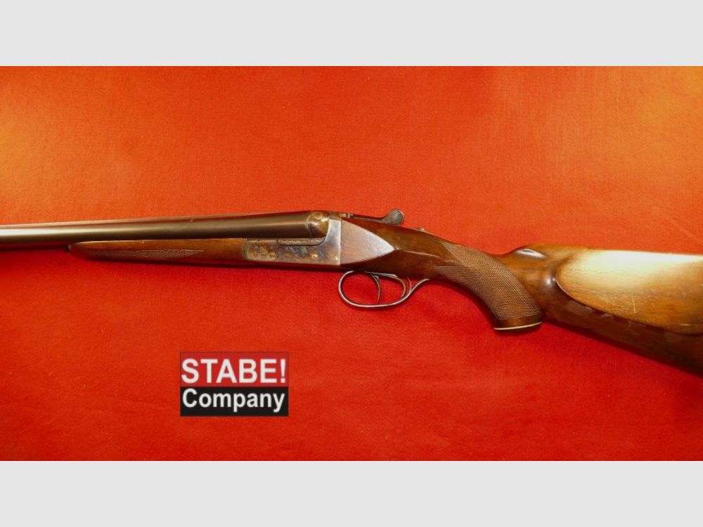 AYA Espagne Busard des roseaux