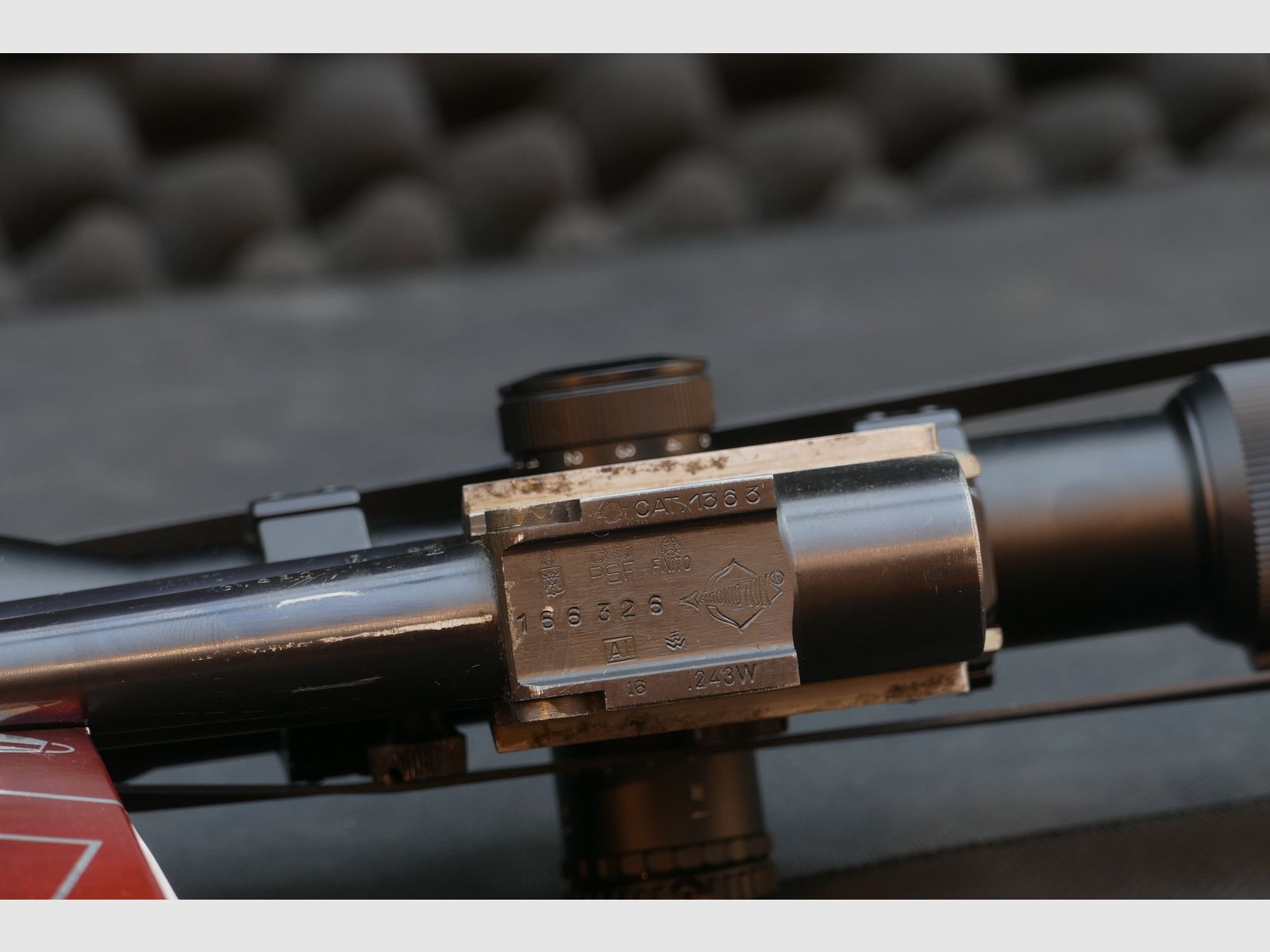 Antonio Zoli BBF in .243Win und 16/70