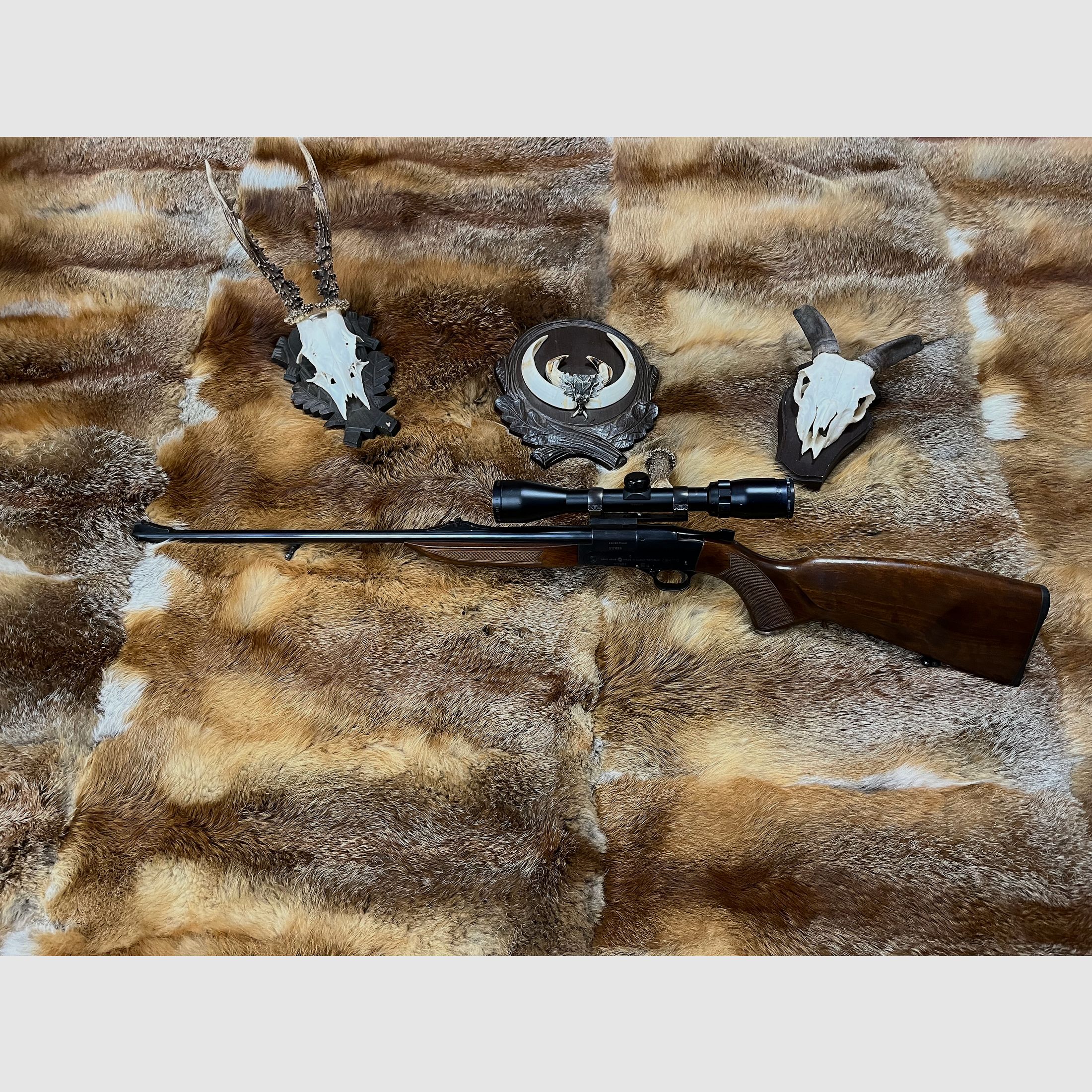 Bolt-action rifle CZ, ZBK110